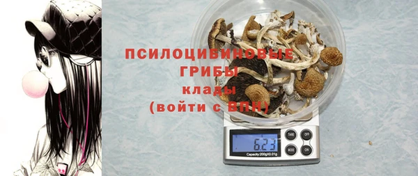 гашик Горно-Алтайск