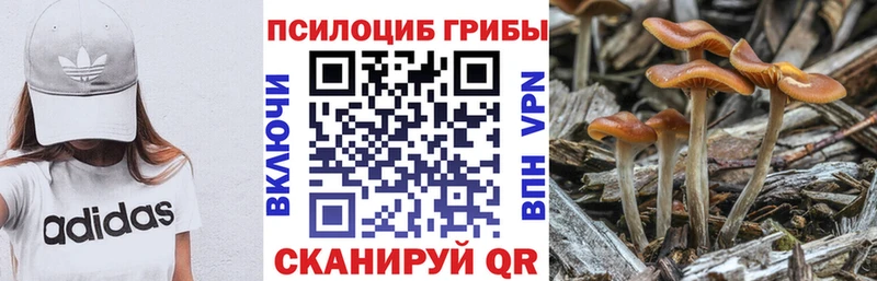 mega как зайти  Магас  Галлюциногенные грибы MAGIC MUSHROOMS 